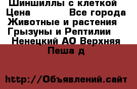 Шиншиллы с клеткой › Цена ­ 8 000 - Все города Животные и растения » Грызуны и Рептилии   . Ненецкий АО,Верхняя Пеша д.